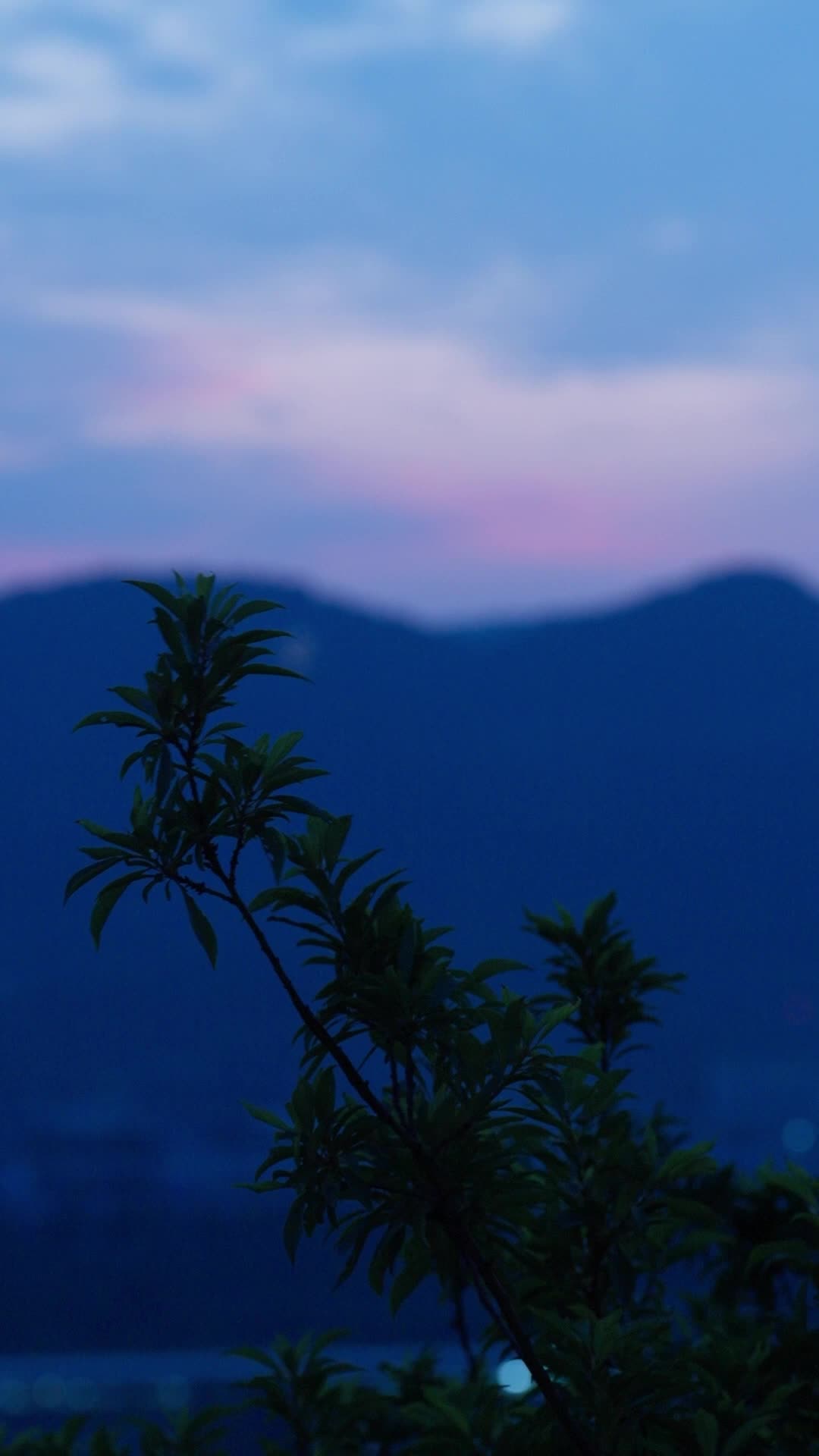 Episode 48 - Urban Vengeance: One Pencil, One Fate